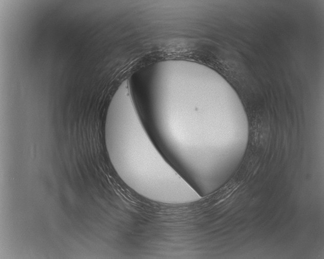 X0000060751346200511100927
