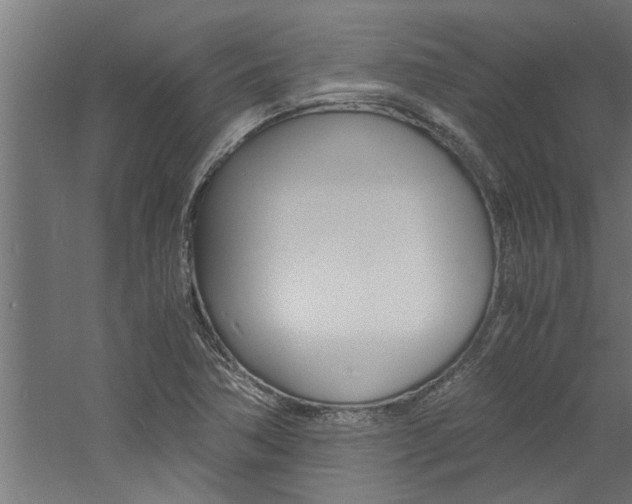 X0000060751362200511100927