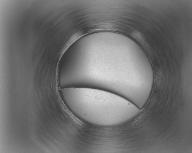 X0000060751378200511100926