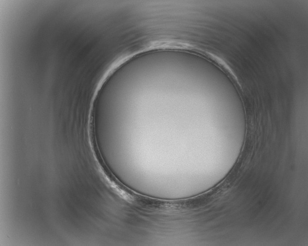 X0000060751379200511100926