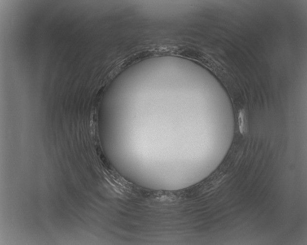 X0000060751395200511100925