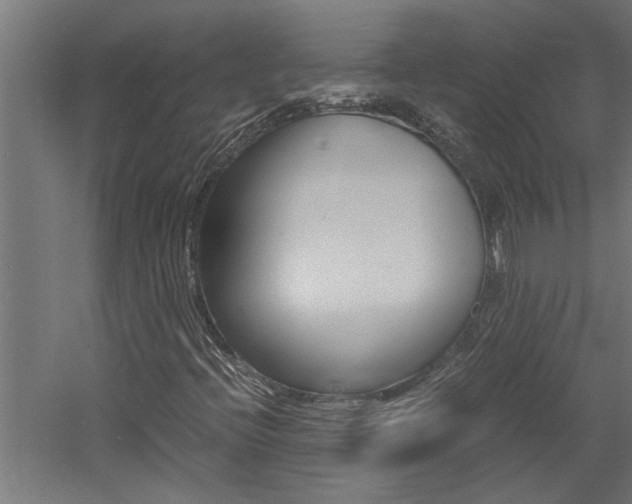 X0000060751396200511100925