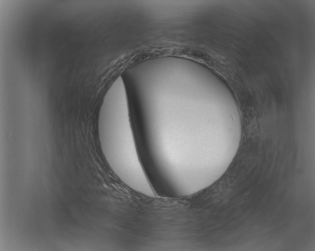 X0000060751397200511100925