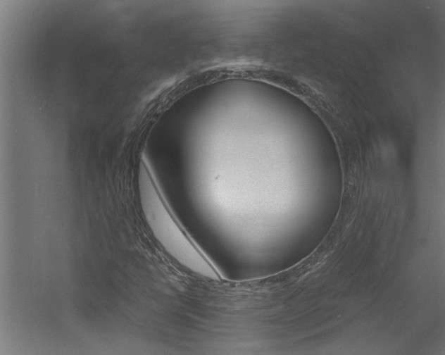 X0000060751398200511100925