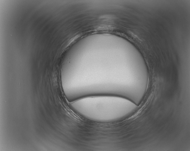 X0000060751401200511100926