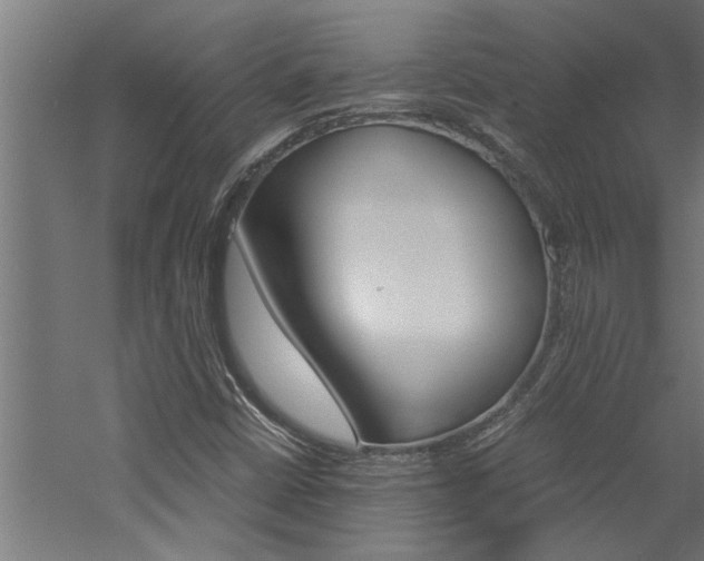 X0000060751402200511100926