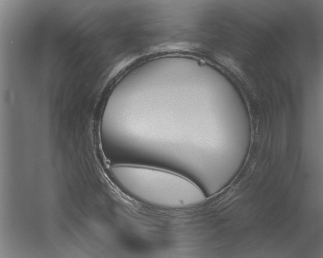 X0000060751404200511100926