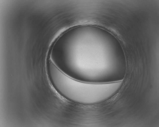 X0000060751422200511100926