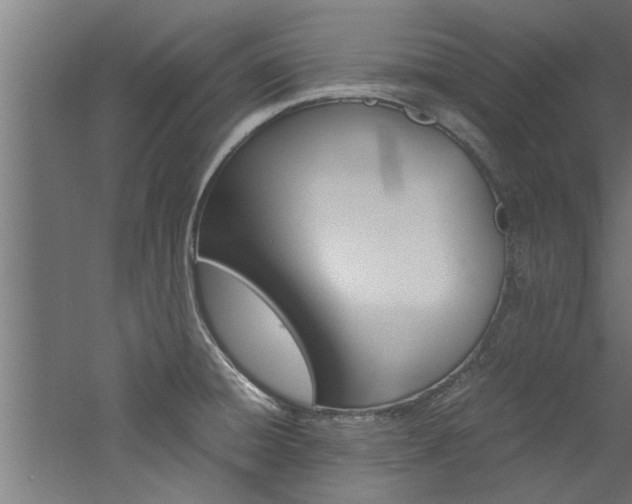 X0000060751428200511100926
