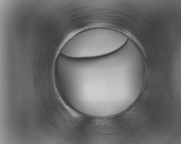 X0000060751429200511100926