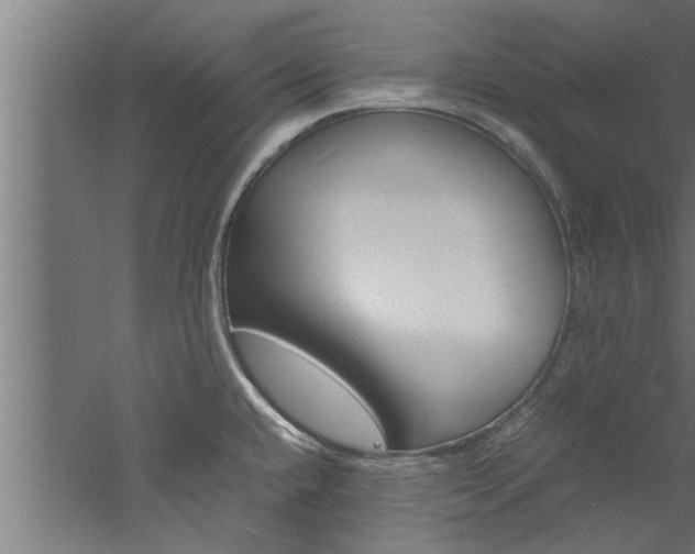 X0000060751432200511100926
