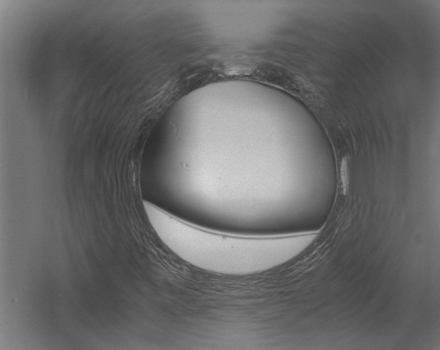 X0000060751443200511100925