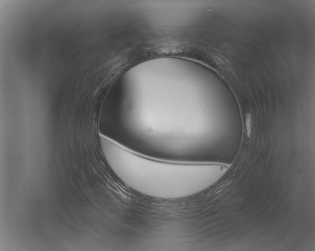 X0000060751444200511100925