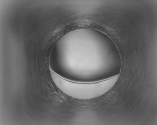 X0000060751445200511100925