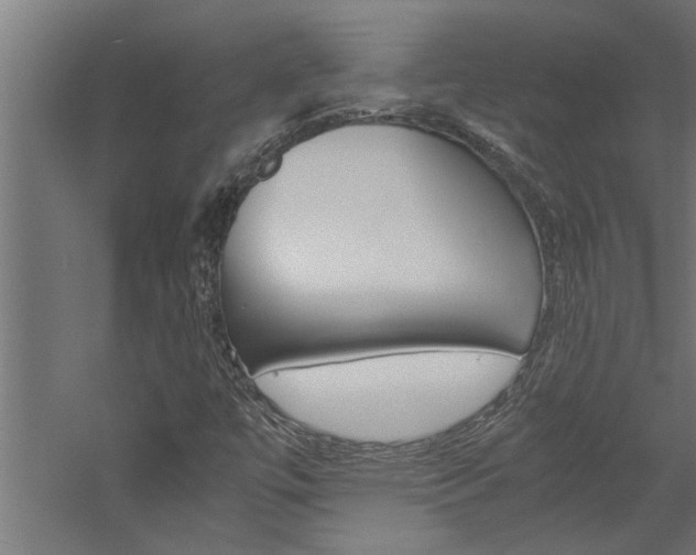 X0000060751447200511100925