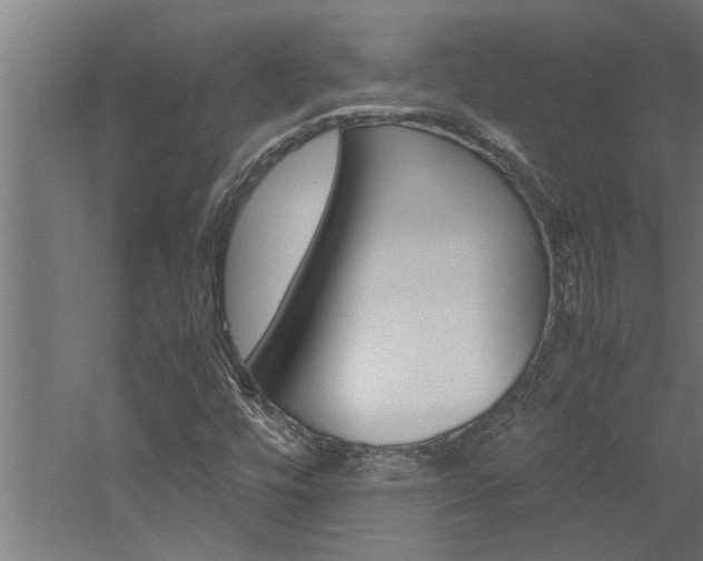 X0000060751448200511100925