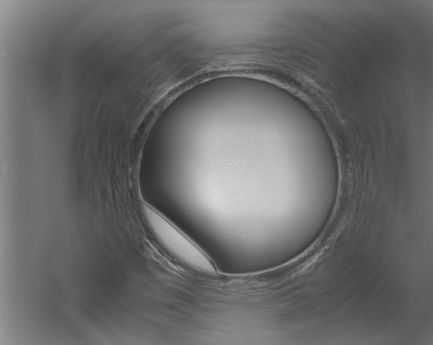 X0000060751449200511100925