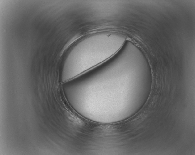X0000060751450200511100925