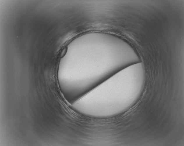 X0000060751451200511100925