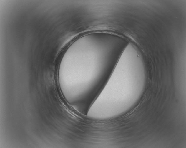 X0000060751452200511100925