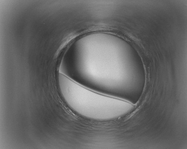 X0000060751453200511100925