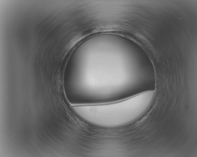 X0000060751457200511100925