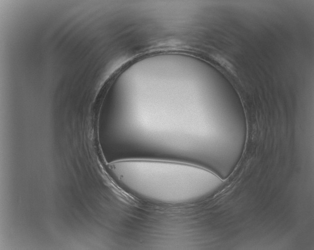 X0000060751458200511100925