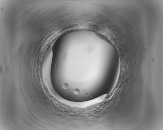 X0000060750001200511101128