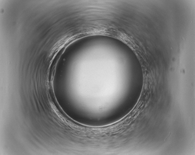 X0000060750002200511101128