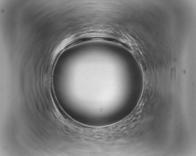 X0000060750003200511101127