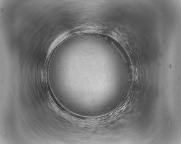 X0000060750004200511101127