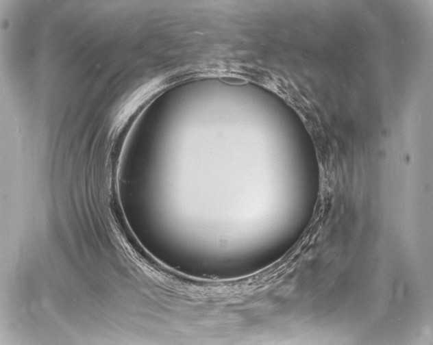 X0000060750005200511101127