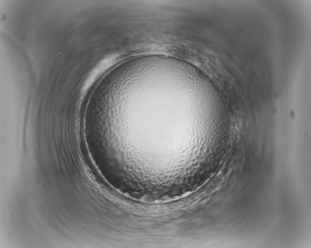 X0000060750006200511101127