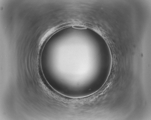 X0000060750007200511101127