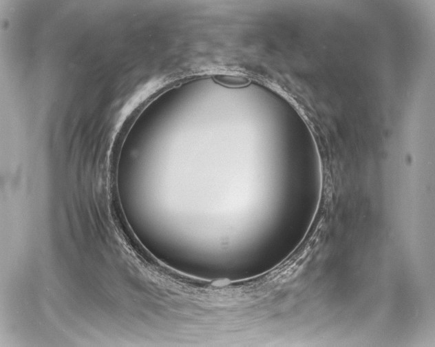 X0000060750008200511101127