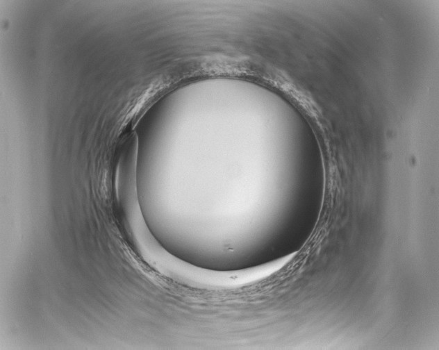 X0000060750009200511101127