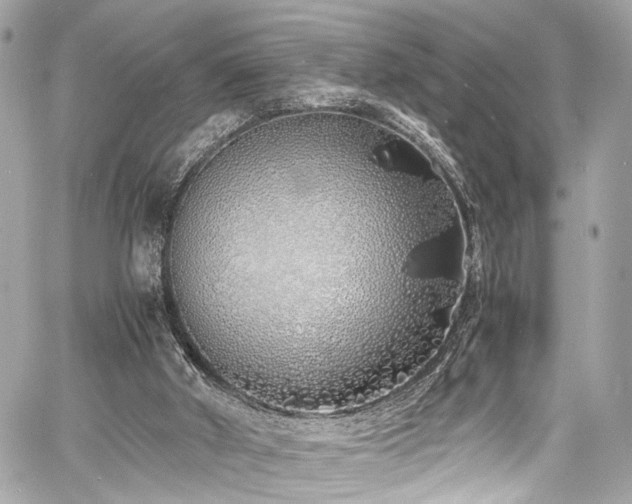 X0000060750010200511101127