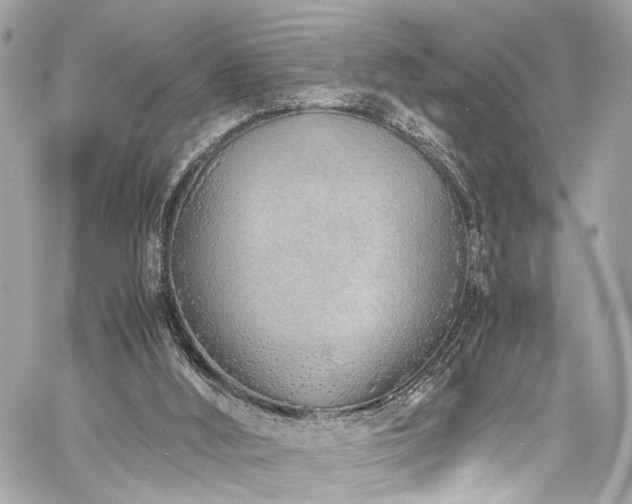 X0000060750012200511101127