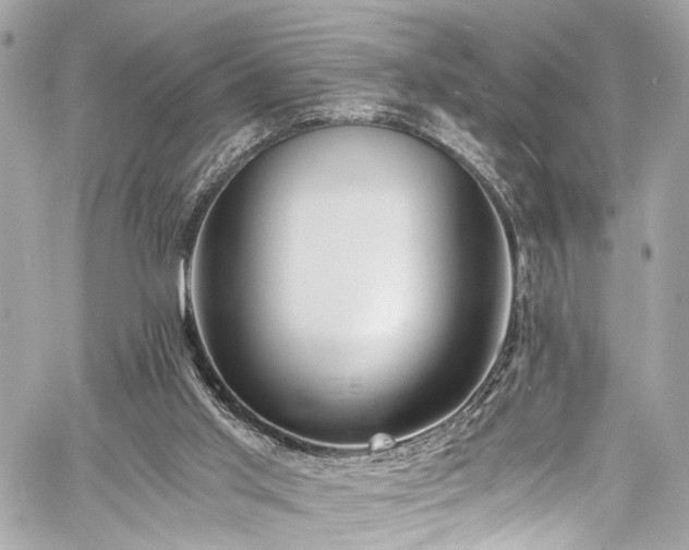 X0000060750013200511101127