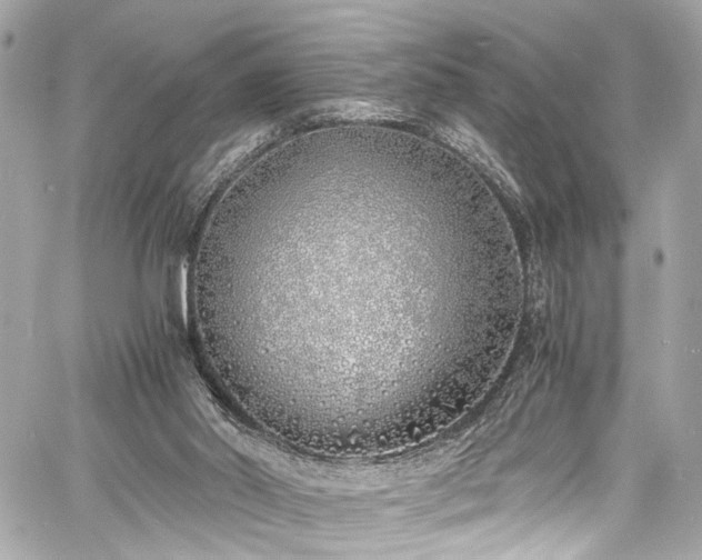 X0000060750014200511101127