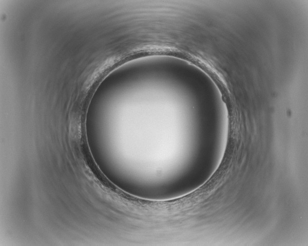 X0000060750015200511101127