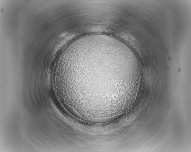 X0000060750016200511101127