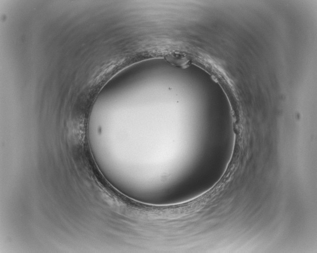 X0000060750017200511101127