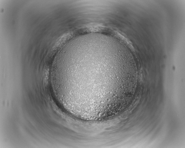 X0000060750018200511101127