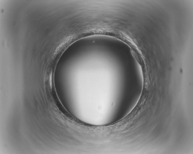 X0000060750019200511101127