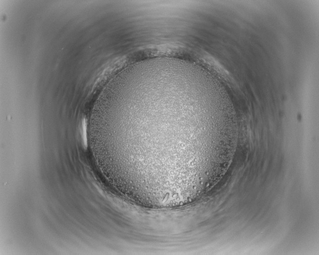 X0000060750022200511101127