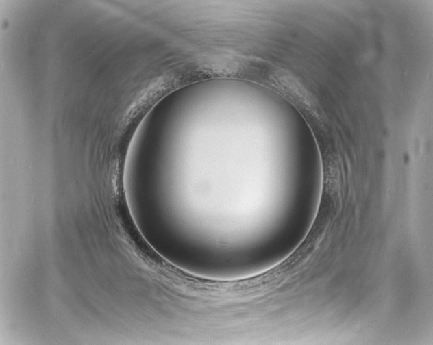 X0000060750023200511101127