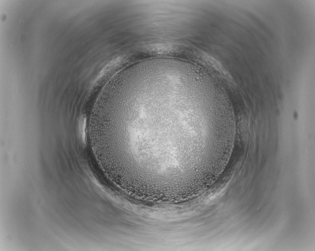 X0000060750024200511101127