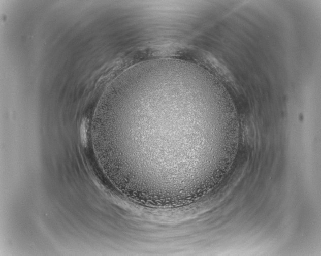 X0000060750026200511101127