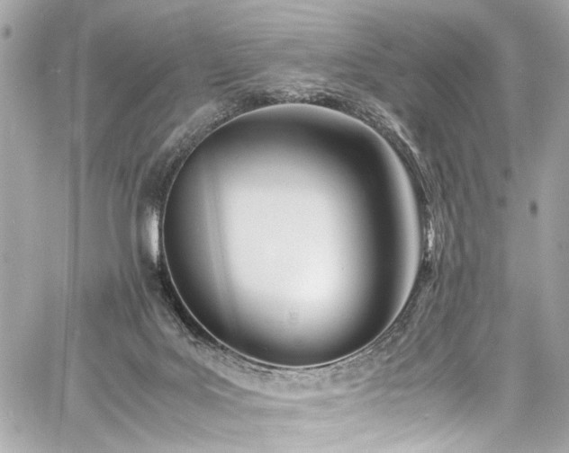 X0000060750027200511101127